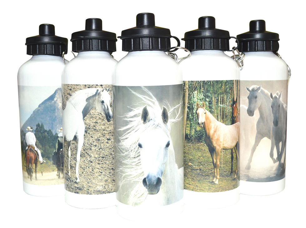 TOMATODO TAPA POP-TOP