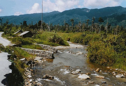 Lore Lindu - Sulawesi.jpg