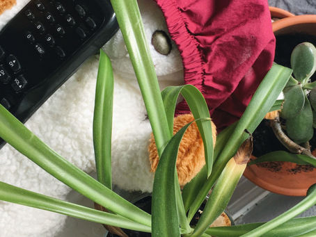 ... Nature, or Nurture, or Both?