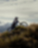 Geroge-UR-Alpinestar-201-editv3.jpg