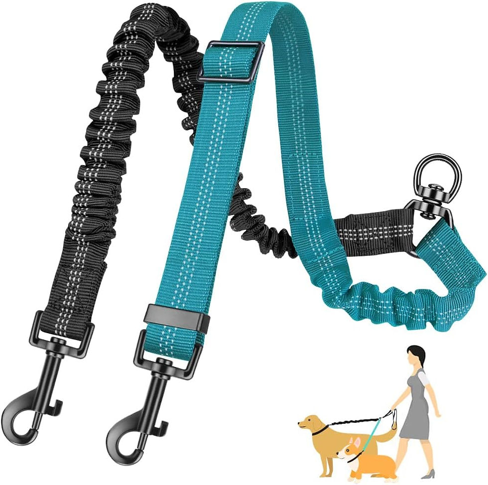 Thumbnail: 1.6ft Long Dual Dog Leash Attachment - Double Leashes for Training Small to Larg