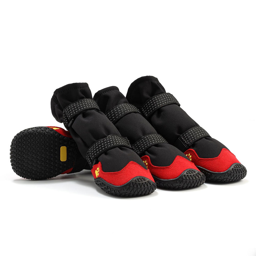 Thumbnail: Dog Booties Waterproof High Tops 4Pcs Dog Shoes for Medium Large Dogs Rugged Ant