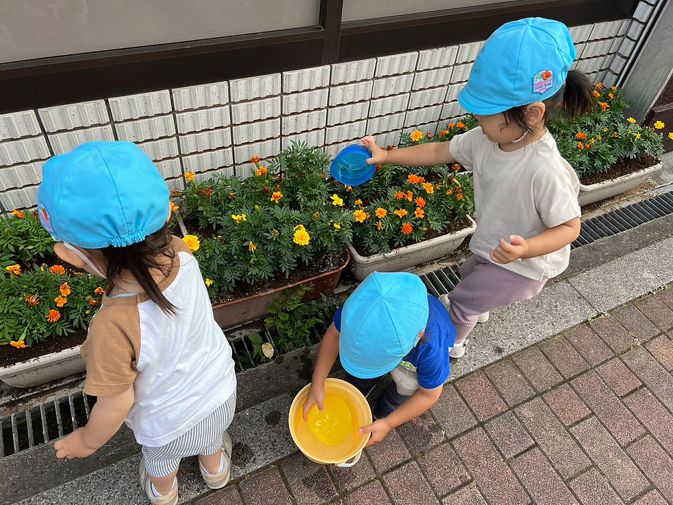 インフィニティ板橋1