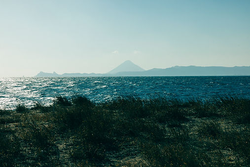 _23A3721.jpg