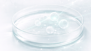 ENA-78 as a Predictor of Wound Healing (2019)