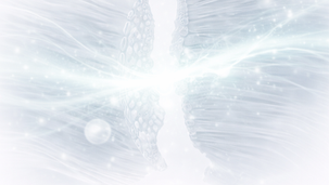 MSC Secretome for Bone Repair: Immunomodulatory and Regenerative Functions (2025)