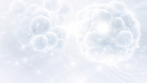 Systemic aging delay and anti-aging therapy using allogeneic stem cells (2025)