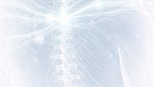 Restoration of skeletal muscle function via MSCs: mechanistic advances (2025)