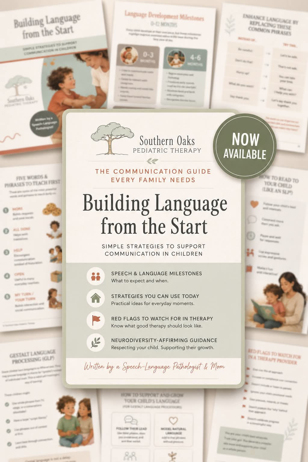 Building Language from the Start E-Book