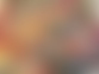 上野リチ展 むっちゃ勉強になりました!楽しかった!