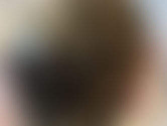 2020/11/13のメニュー