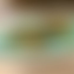 2022/06/22のメニュー