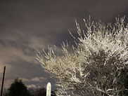 2021/03/02のメニュー ぼやっとしてたら3月になってた!