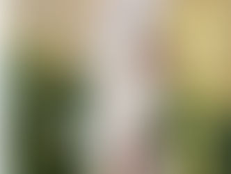 2021/11/30のメニュー 世田谷京王線千歳烏山のちいさなレストラン「エノテカのんとろっぽ」