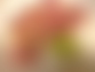 2021/12/17のメニュー 世田谷京王線千歳烏山のちいさなイタリアンレストラン エノテカのんとろっぽ