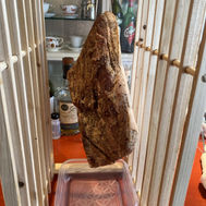 2022/04/08のメニュー 世田谷京王線千歳烏山のちいさなイタリアンレストラン エノテカのんとろっぽ