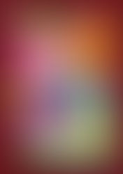 ◆ Party plan information ◆