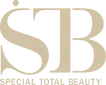 logo STB