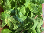 2020/08/12のメニュー