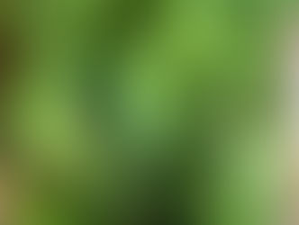 2020/08/12のメニュー