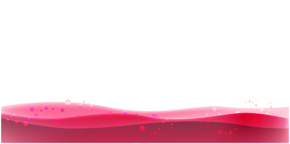 TOP-01.png