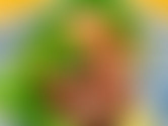 あじのなめろう