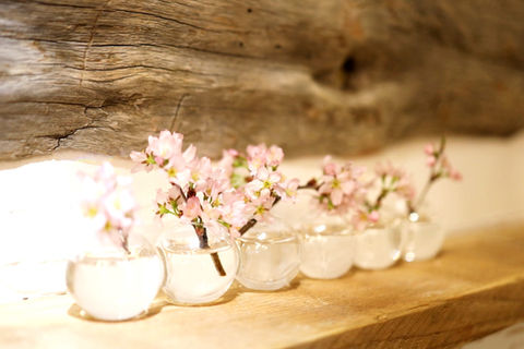 フラワーカフェ　hanaucafe