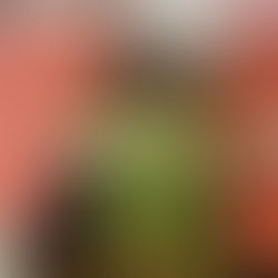 漬物好き~まかないは和食多め