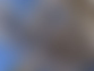 2021/03/23のメニュー