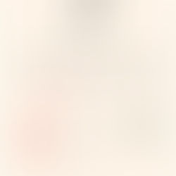 11月の営業のお知らせ