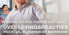 ✅Overlevingsreacties