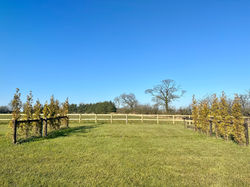 Richmore Hall Campsite
