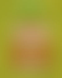 AMA GAME | Teste seu conhecimento!