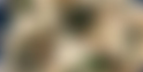 Lemon Chicken with Capers