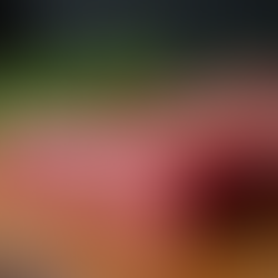 Why Organic Certification Matters for Wagyu Beef