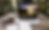 counsiling.png