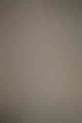 Central Coast Photographer