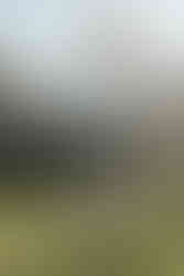 Santa Barbara Courthouse engagement session with editorial couples photography