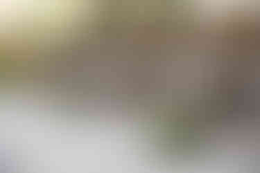 Allegretto Vineyard Resort