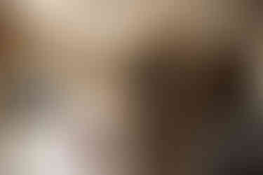 Central Coast Photographer