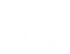 champagne.png