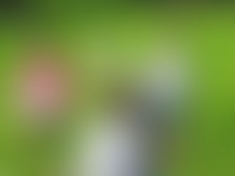 Why Outdoor Play is Vital for Preschoolers