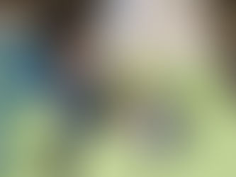 Fine motor activity in the kitchen