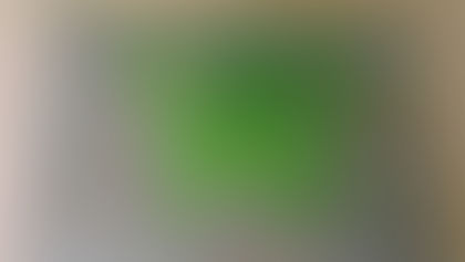 Dinosaur themed art activities