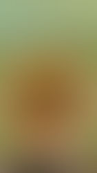 Hanging fan cat face