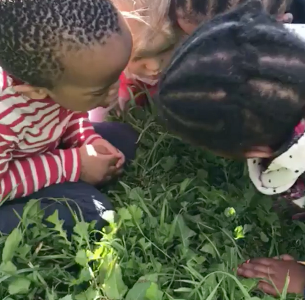 Simple Nature Activities for Young Children