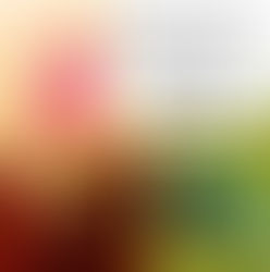 How To Make An Easter Egg Basket Out of a 2 Litre Container (Cooldrink or Milk)