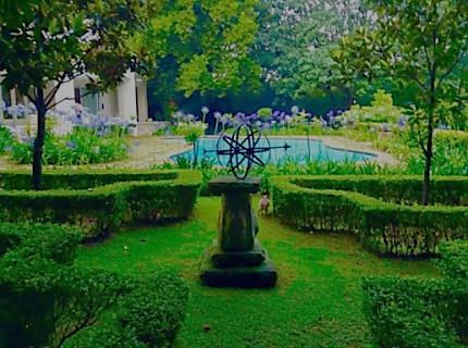 My garden – a Place of Heaven filled with Special Memories