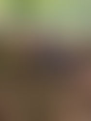 Autumn Art Activities