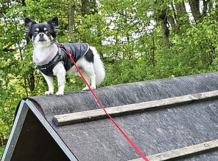 WhatsApp Image 2023-05-08 at 08.37.48.jpeg